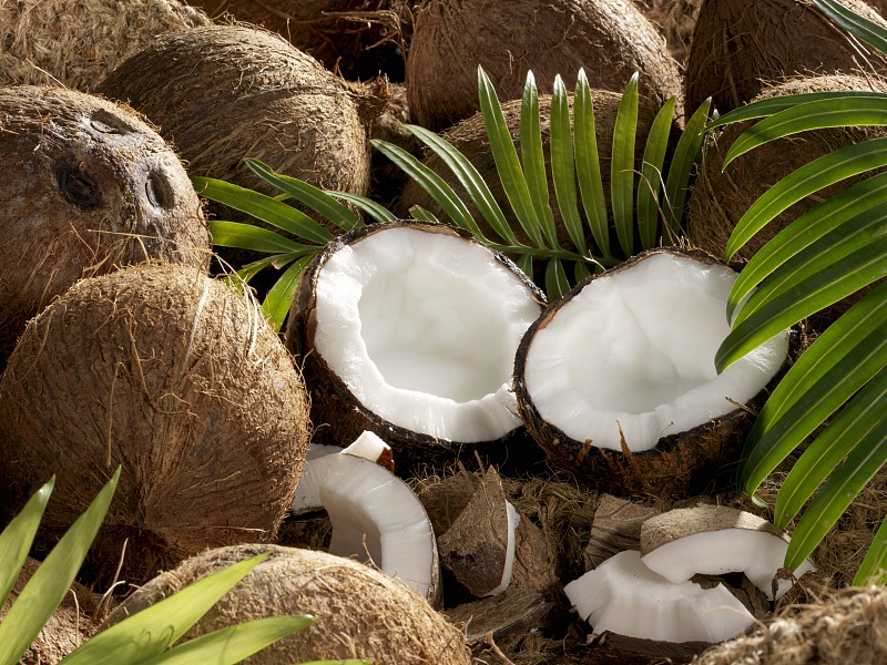 人海之间｜海岛奇珍：椰子的妙用