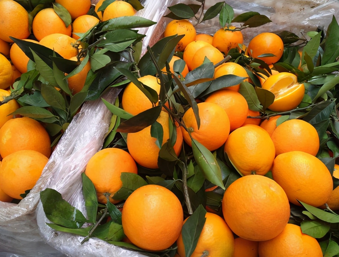 市面上销售的3种橙子，到底哪种更甜，哪种性价比更高？