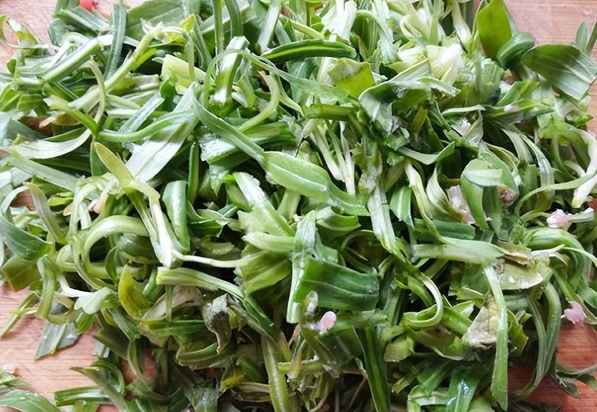 俗称“面条菜”，麦田常见的杂草，也是充饥的野菜，好吃价值也高