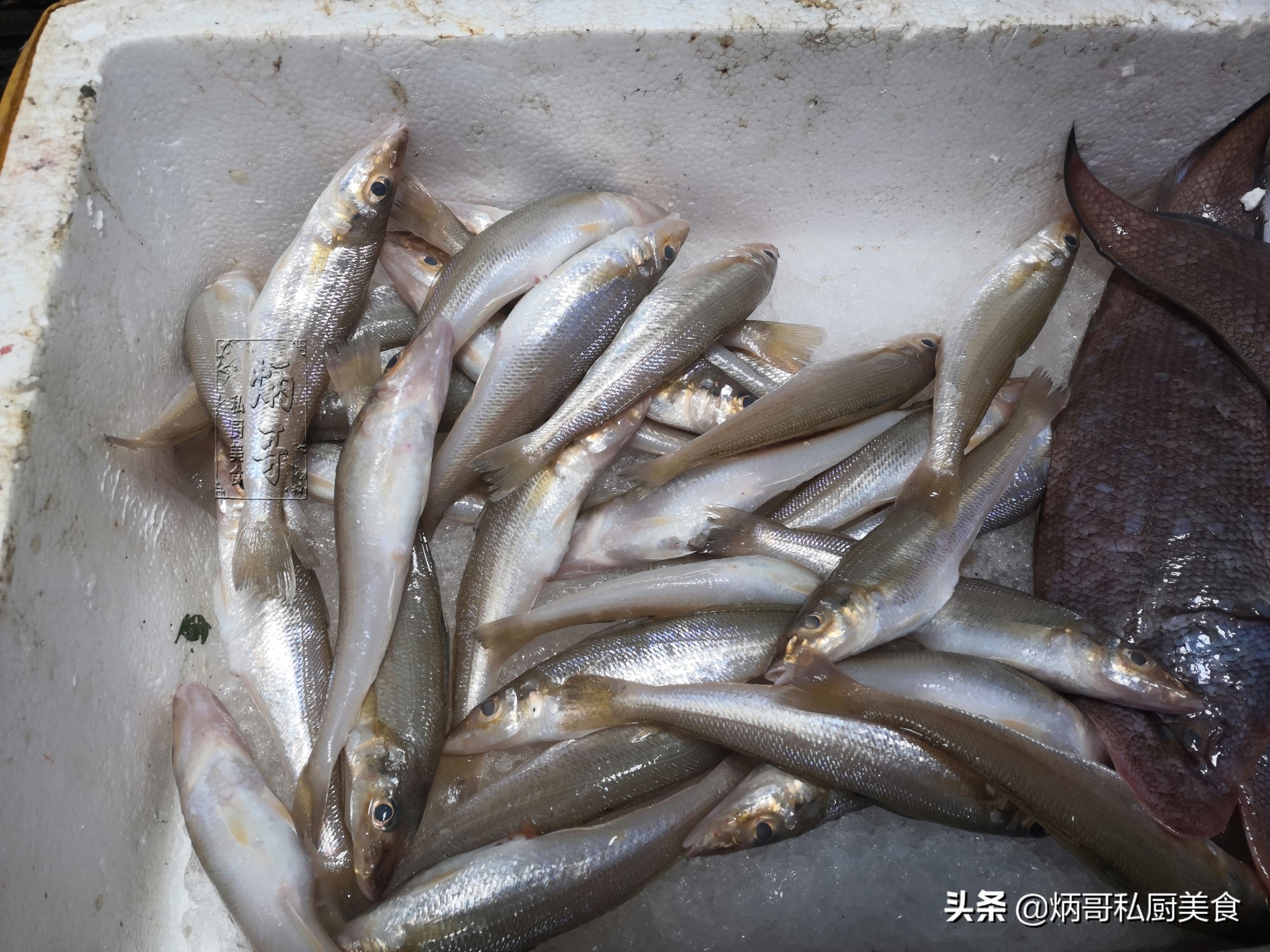 中秋后，内行人专买这7种鱼，纯野生非人工养殖，鱼贩：行家啊