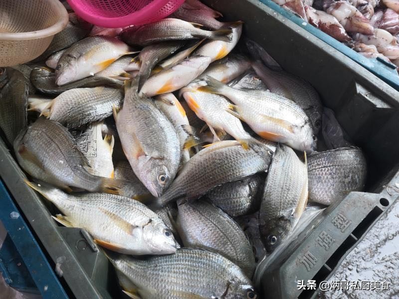 中秋后，内行人专买这7种鱼，纯野生非人工养殖，鱼贩：行家啊