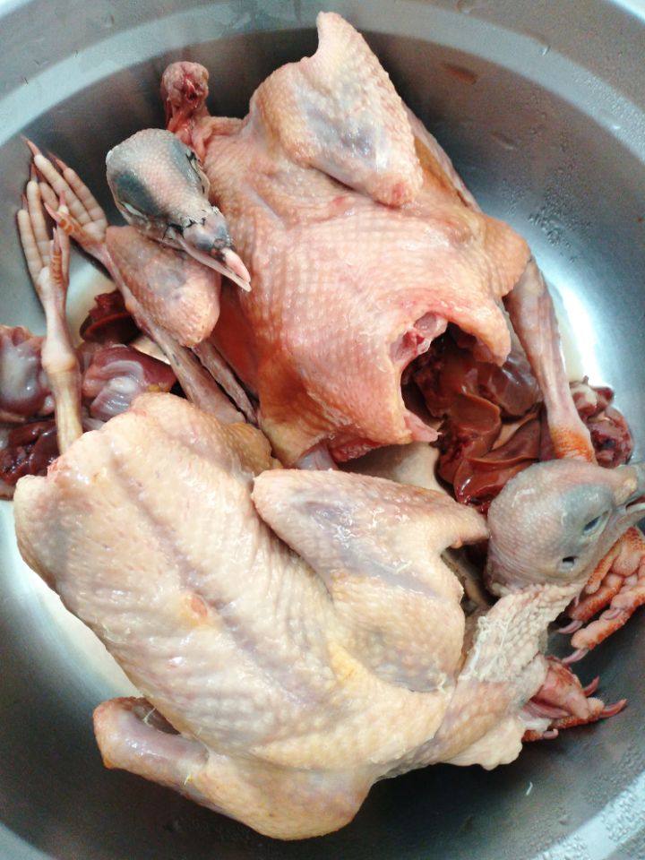 清蒸鸽子的家常做法，肉质鲜香，汤汁浓郁，秋冬滋补佳品
