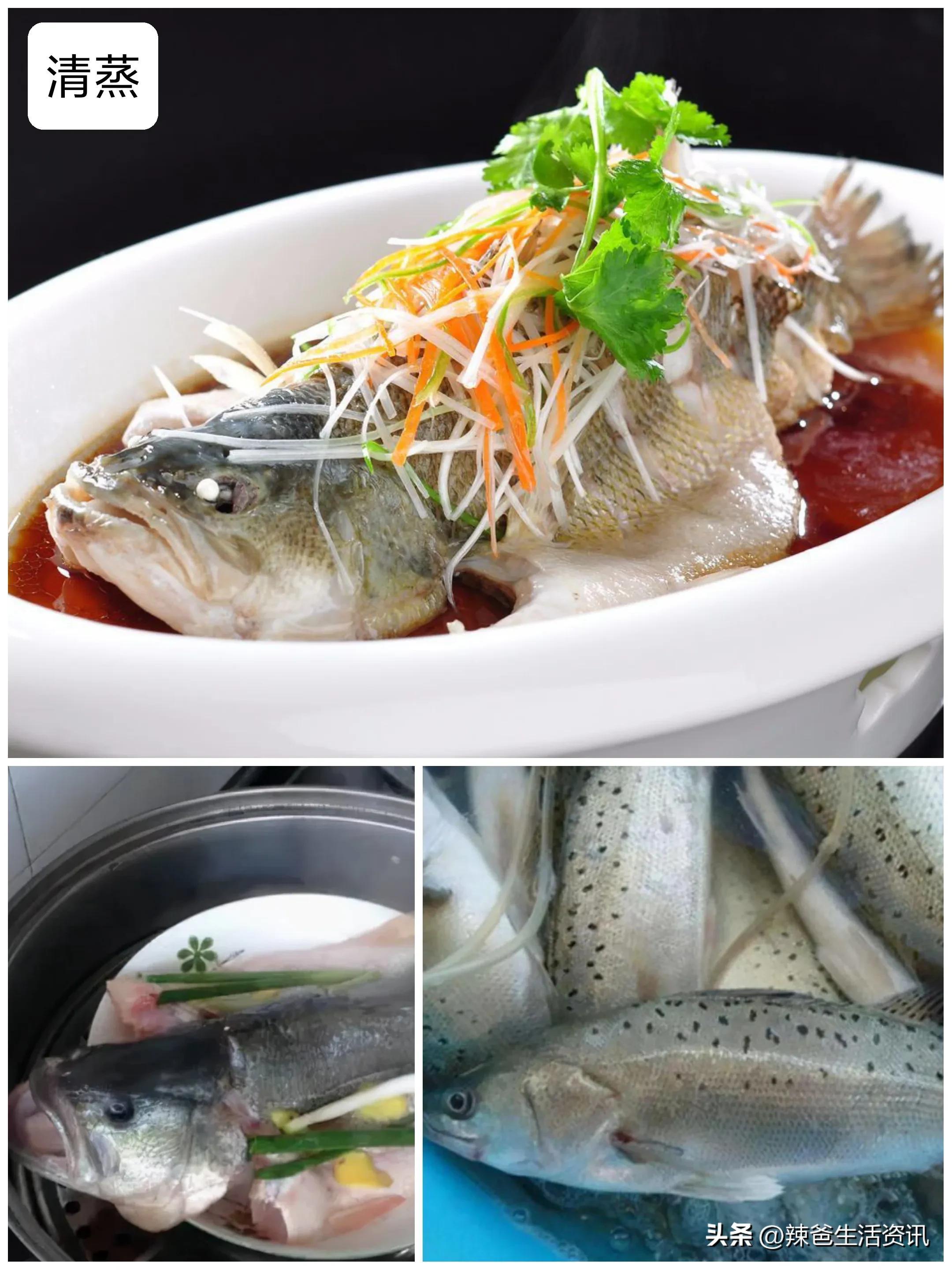海鱼的做法大全 家常菜（海鱼的10种“常用烹饪技巧”，家庭厨房简单易做，请收藏）