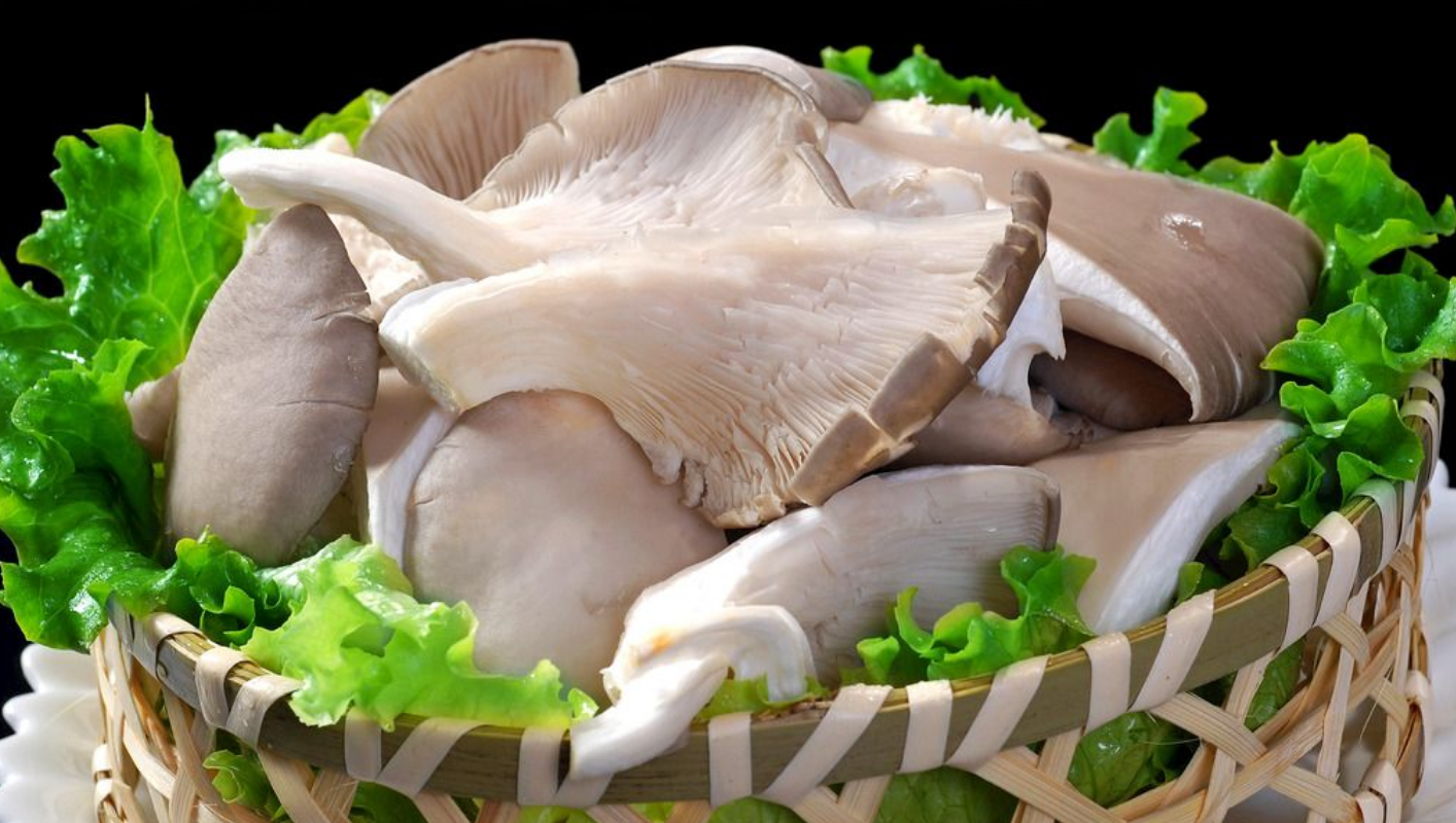 平菇怎么做好吃家常（平菇5种最好吃的做法，每种都营养美味，看看你喜欢吃哪种？）