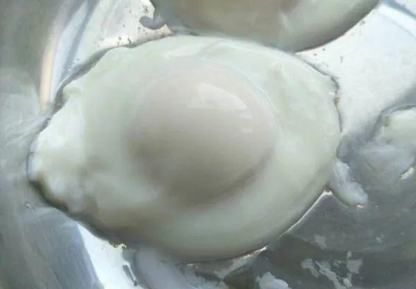 煮荷包蛋其实很简单，牢记“3要3不要”，水煮荷包蛋正确方法 光滑完整不破皮