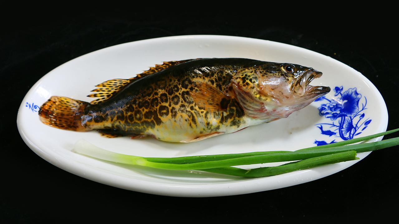 野生桂鱼的做法，看看大厨是怎么操作的，看完食欲大增