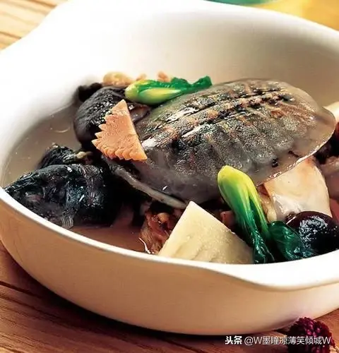 清蒸甲鱼的做法 美食做法——清蒸甲鱼