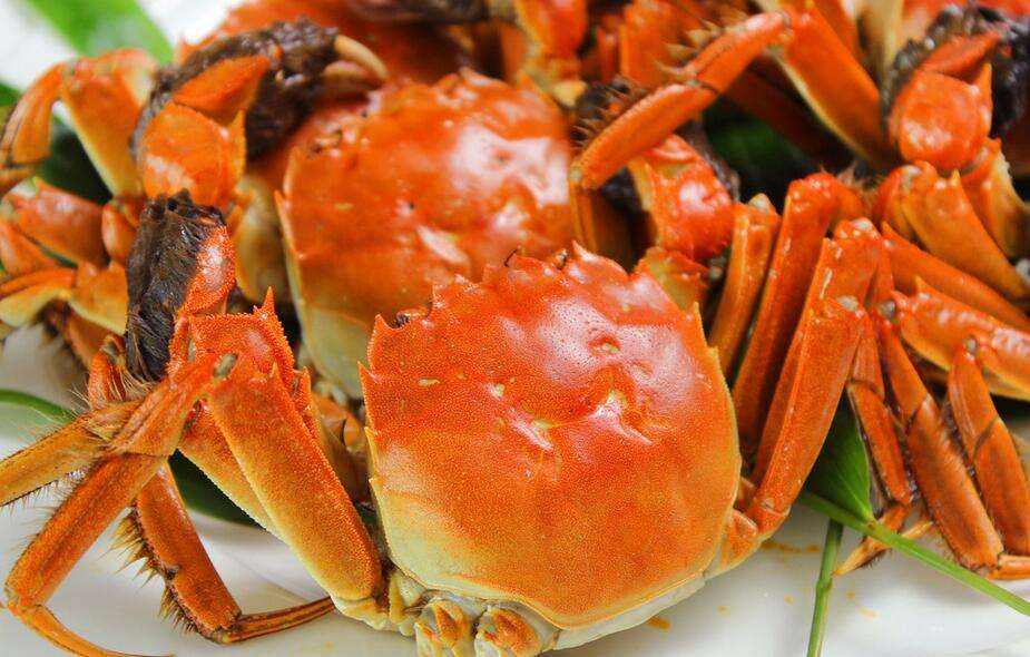 大闸蟹怎么做好吃又简单大闸蟹的5个美味做法
