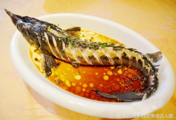 鱼中贵族中华鲟鱼清炖做法大全 ，其肉质优于三文鱼龙虾堪称人间美味！