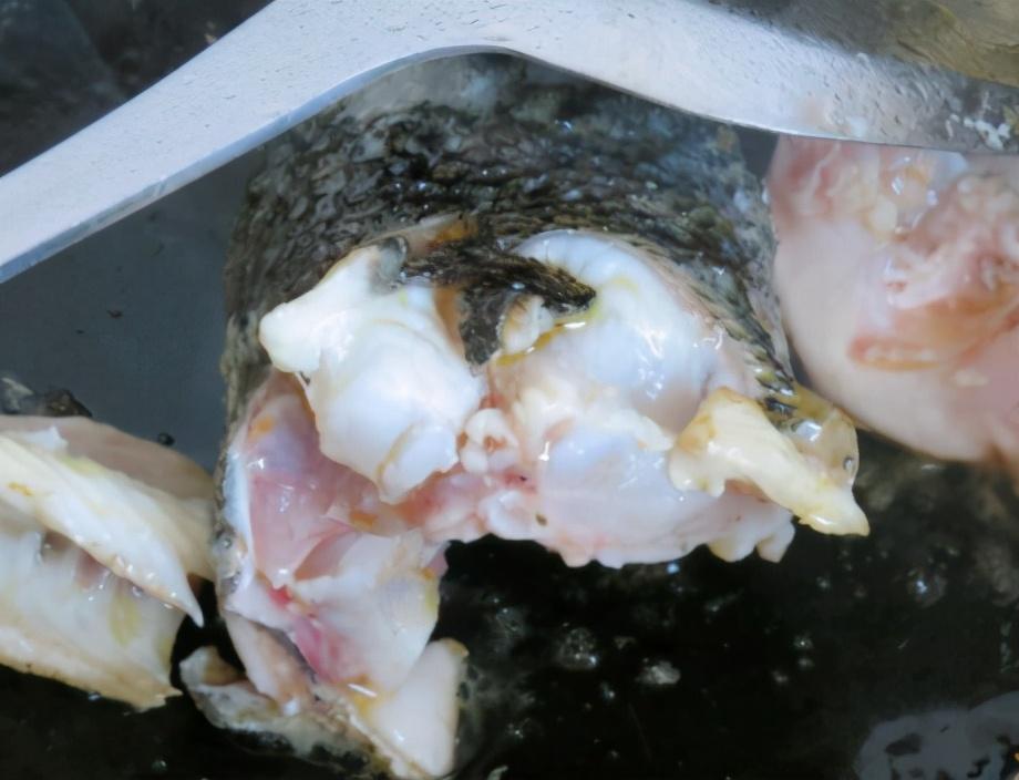 分享清炖黑鱼汤的做法 ，记住“2放2不放”技巧，鱼汤奶白无腥味，鲜香十足