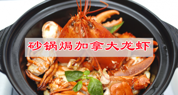 大龙虾的做法之砂锅焗加拿大龙虾的做法