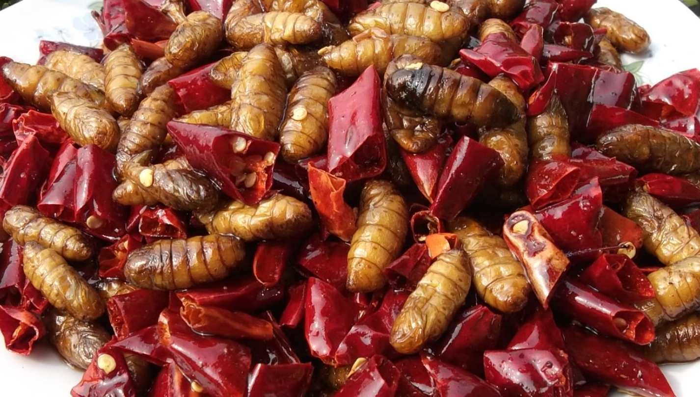 蚕蛹5种最好吃的做法，简单美味又馋人，看看你喜欢吃哪种？