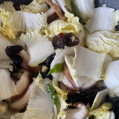 白菜炖粉条在家做，美味又营养，轻松又简单