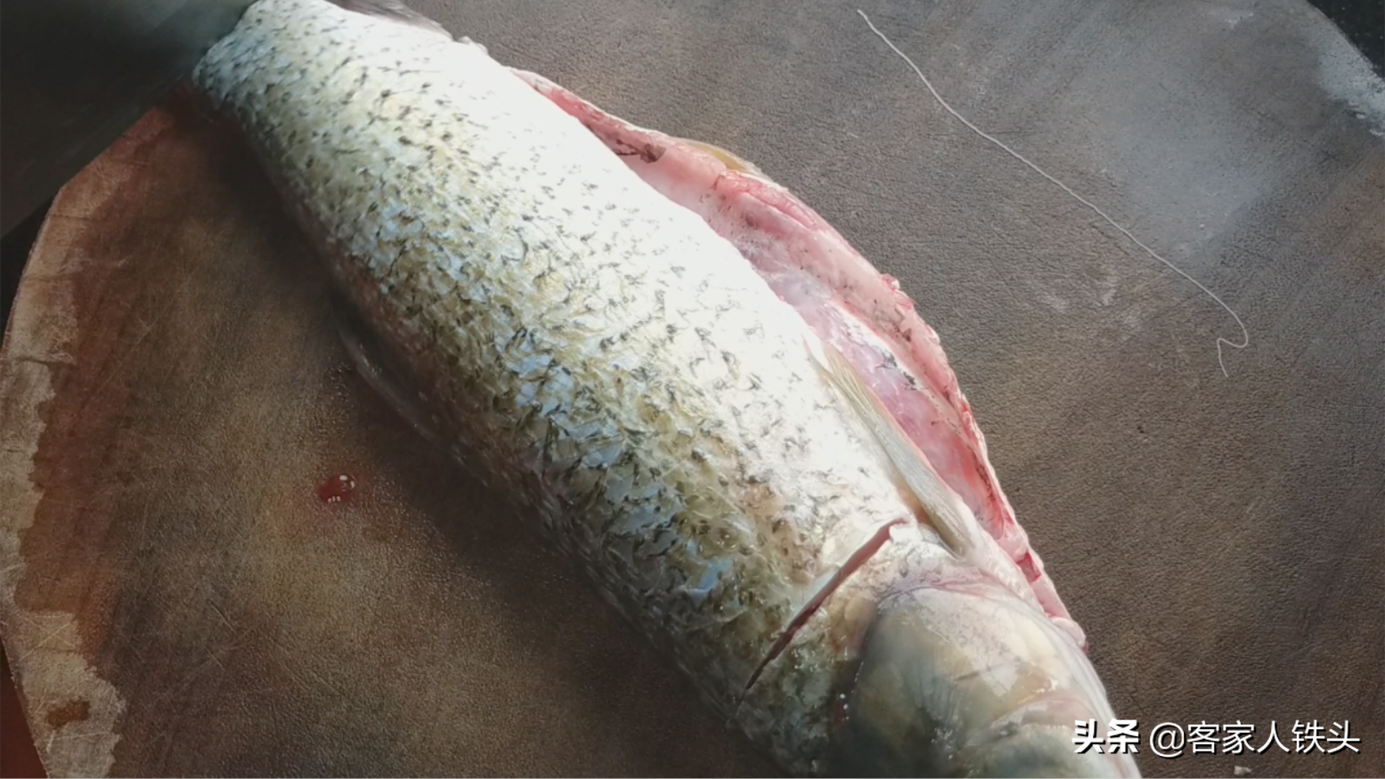 1条3斤的草鱼，试试一个好吃又懒人的做法，不加一滴水，鲜嫩不腥