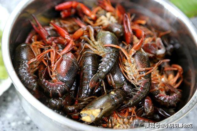 吃虾到底吃不吃虾头，虾黄是排泄物吗？关于虾头，一次性说清楚！