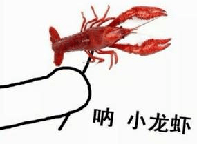 医生建议吃小龙虾1个人不要超过1斤！谁能做到？