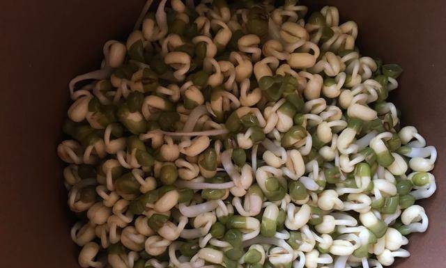 外面的绿豆芽有添加剂？70岁奶奶：自己在家就能做，新鲜无添加！